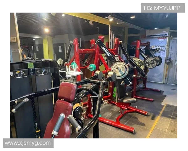 综合健身器材品牌推荐：多功能设备让健身更高效